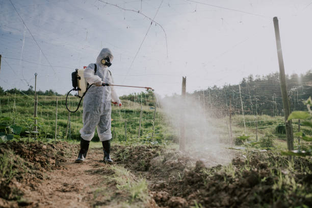 Best Best Pest Control Companies  in Kittitas, WA