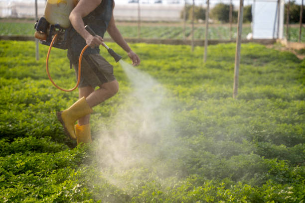 Best Commercial Pest Control Services  in Kittitas, WA