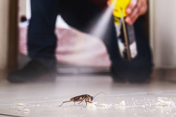 Pest Prevention Services in Kittitas, WA